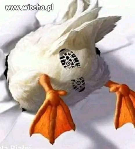 Komentarz dopisz sobie sam