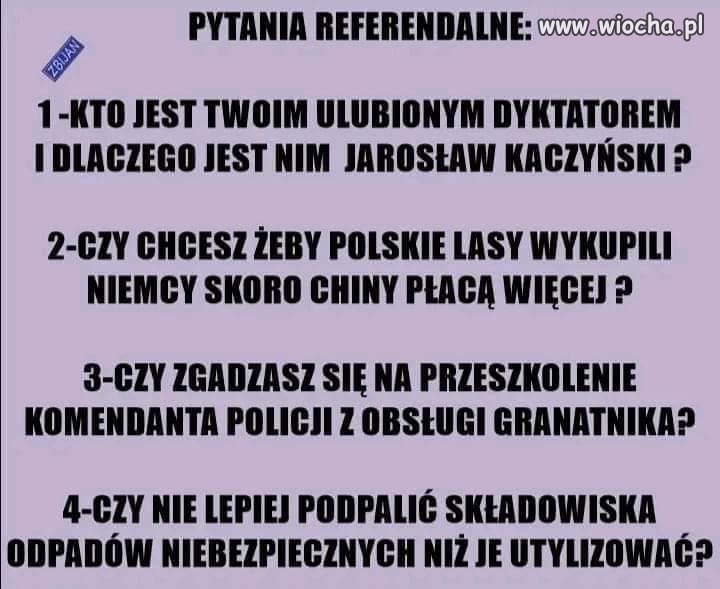Może zapytajmy wyborców: