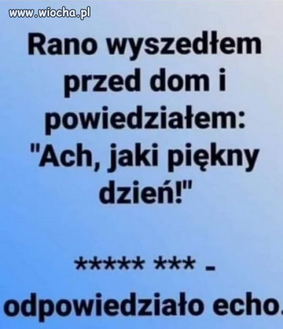 Juz tylko 49 dni do konca, zlodziei i oszustow PiS