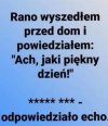 Juz tylko 49 dni do konca, zlodziei i oszustow PiS