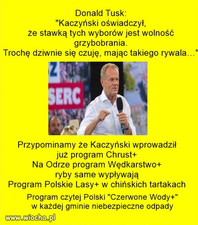 Donald Tusk przypomniał największe "sukcesy" PiSu!