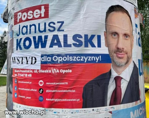 Kowalski szuka poparcia "Januszy", głupszych od niego!