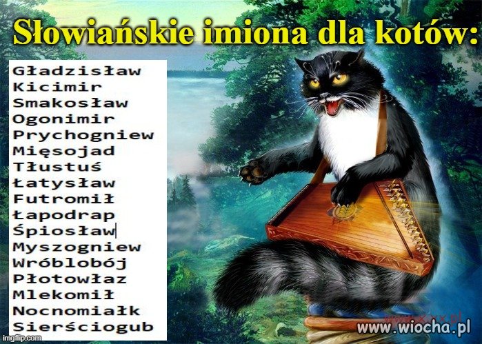 Nie arabsko brzmiący  ALIK