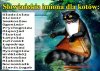 Nie arabsko brzmiący  ALIK