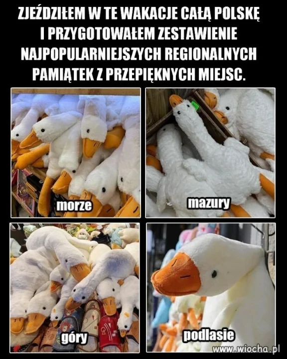 Białe szaleństwo