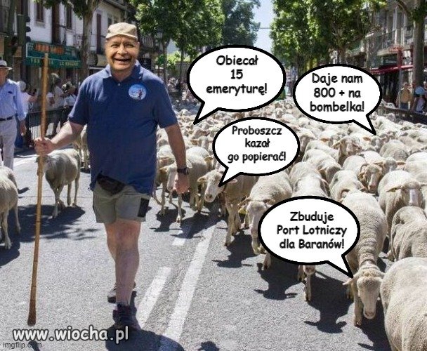 Pan NIE jest mym pasterzem,
