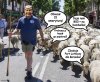 Pan NIE jest mym pasterzem,