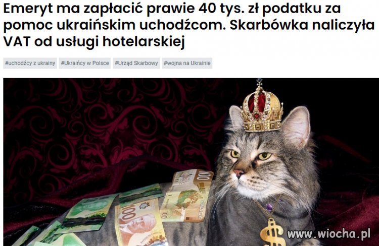 Pomogłeś uchodźcom?