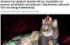 Pomogłeś uchodźcom?