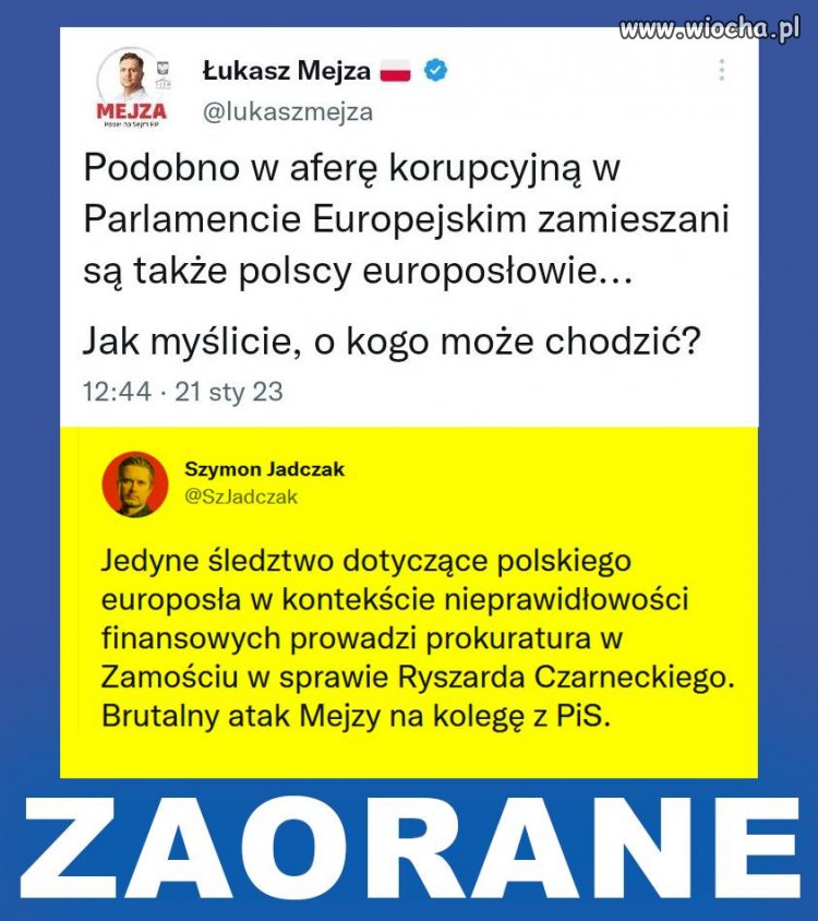 To Gowin wprowadził takie łajzy, mendy i mejzy do Sejmu.