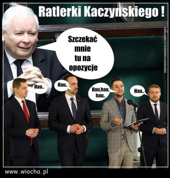 Wszystkie Ratlerki Kaczyńskiego...