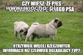 Złota myśl