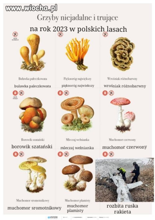 Aktualny aneks do poradnika dla polskich grzybiarzy