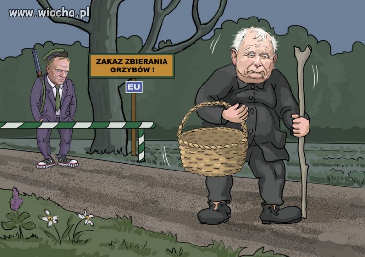 Trzeba cały las milicji, żeby Jaro poszedł na grzyby...