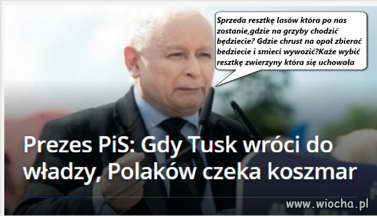Czeka nas tuskowy