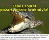 Żadnego szacunku dla świętości!