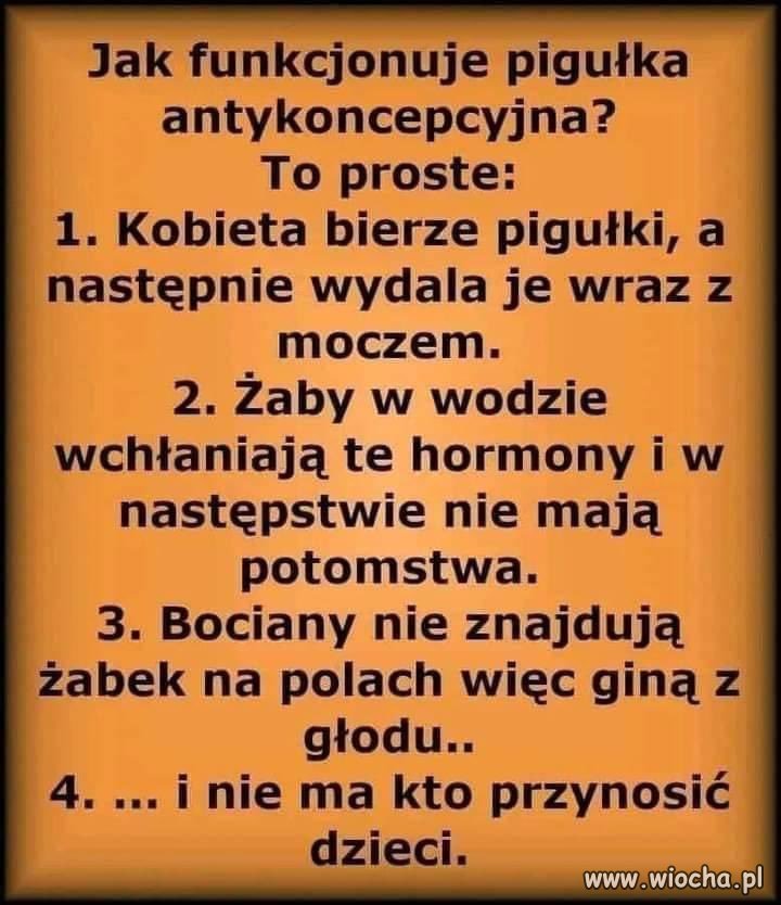 Tak to wygląda