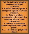 Tak to wygląda