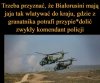Twarde ziemniakojady