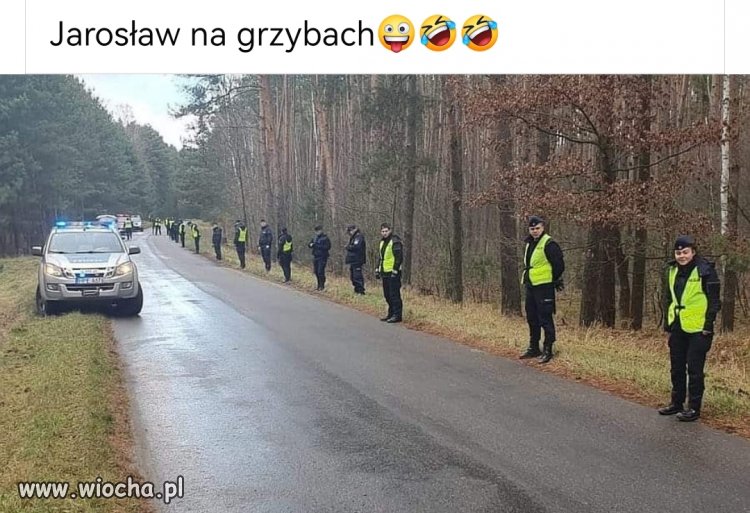 Pierwszy grzybiarz RP 