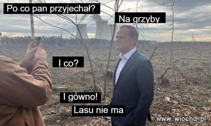 W pustyni i na... pewno nie w puszczy