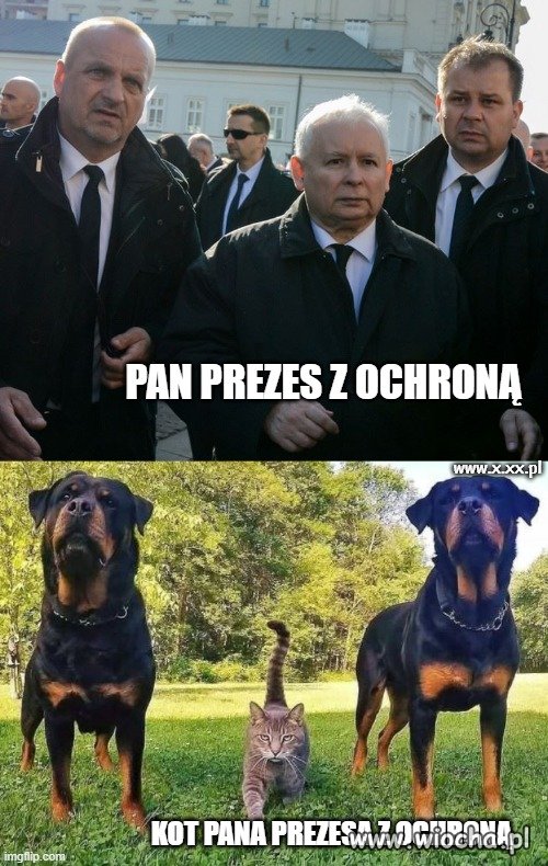 Chyba niepotrzebnie, bo podobno