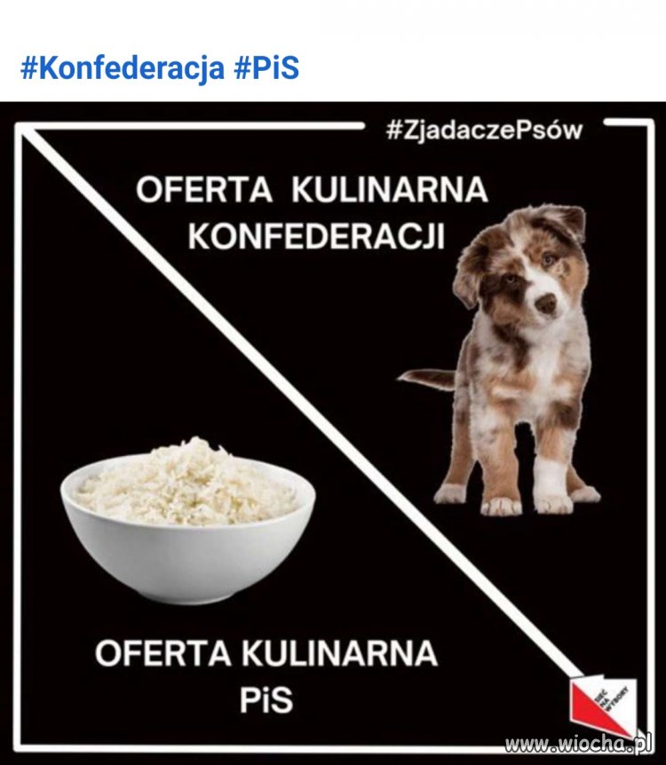 Program nowego rządu PiS/Konpederastia 