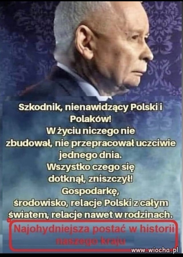 15 X wytępimy szkodnika