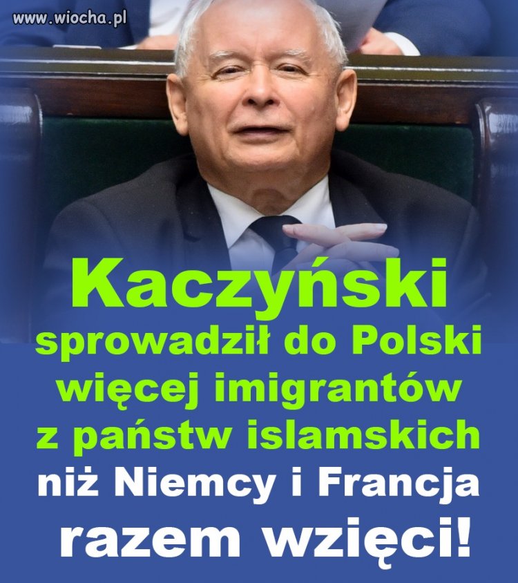 A przed nami kolejny dzień w państwie PiS...