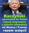 A przed nami kolejny dzień w państwie PiS...