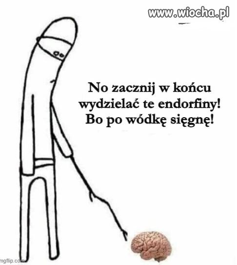 Ciastko, bieganie, seks,czekolada?