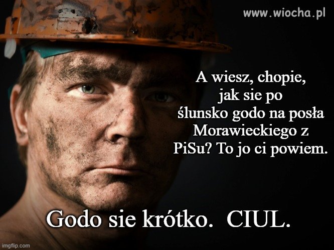 Skrócony kurs  śląskiego