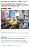 Pis chce... Chcą, planują, mają zamiar, i tak to się kręci
