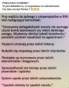 Czy taka ma być Polska?