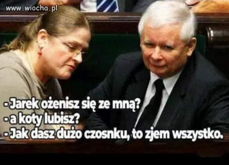 Bo Pawłowicz broni PiSu zażarcie...