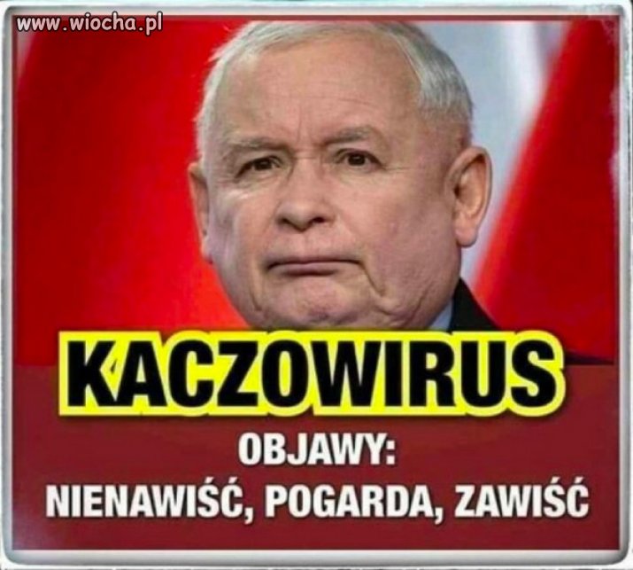 Pandemia Kaczoswirusa trwa od 8 lat...Czas na szczepionke!