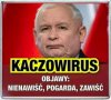 Pandemia Kaczoswirusa trwa od 8 lat...Czas na szczepionke!