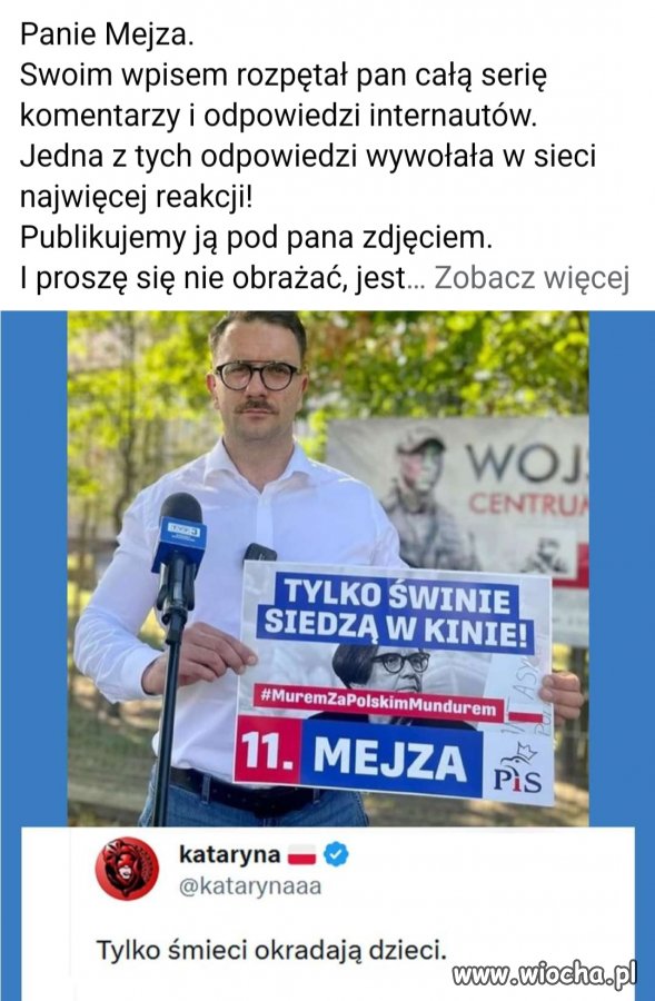Idol wyborców PiS 