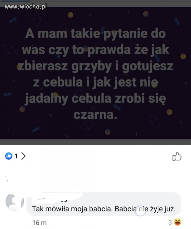 Nie ma to jak uczyć się na błędach 