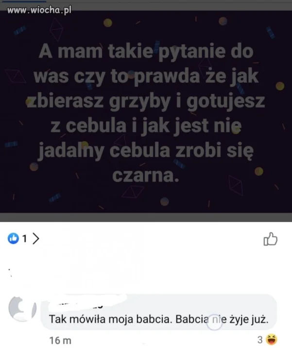 Nie ma to jak uczyć się na błędach 