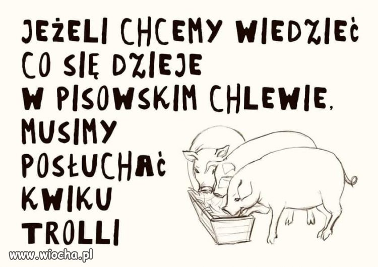 Co się dzieje w pisowskim chlewie?