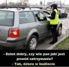Pislicja