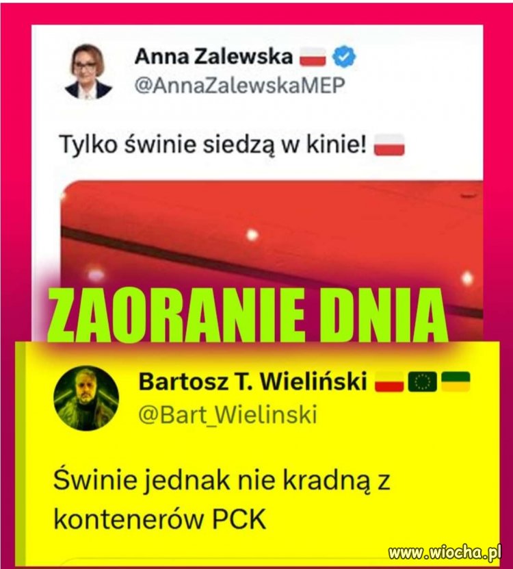 Piękne zaoranie pisowskiej kretynki