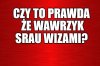 Kolega pytał