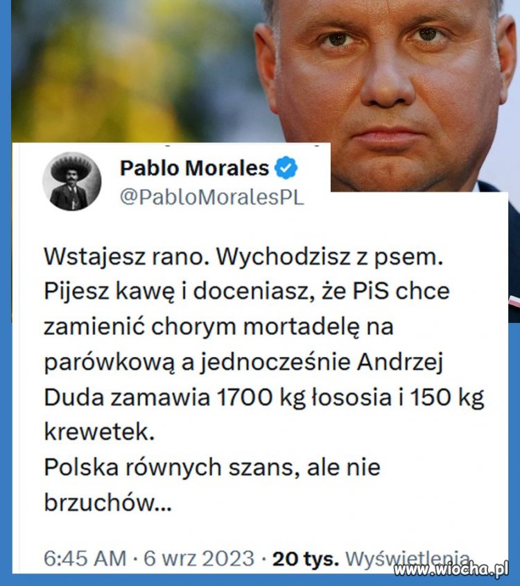 Mojsza jest lepsza niż Twojsza