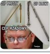Podział cepów 