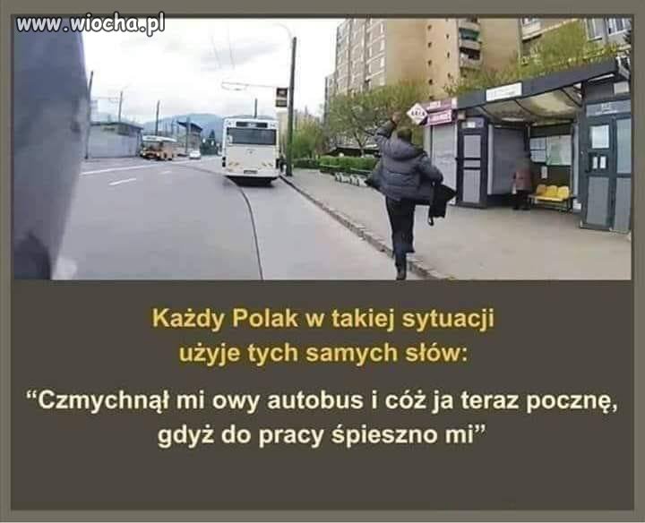 Tak to wygląda