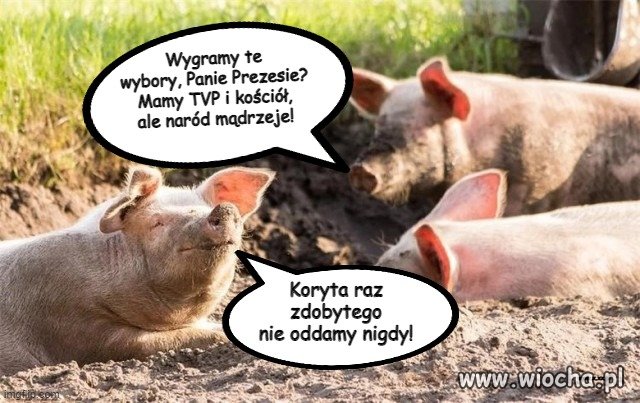 Narada w sztabie