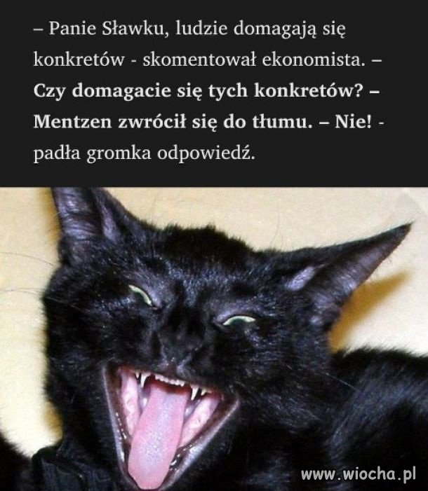 Wyborcy konpederastii 