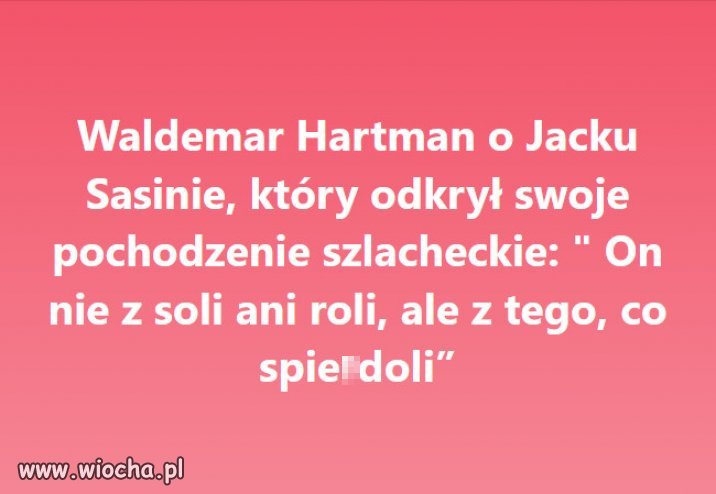 Pochodzenie szlacheckie? Pasuje do szlachty jak siodło do świni